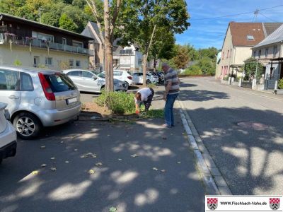 VVF4-IMG-20250910-WA0000-1
